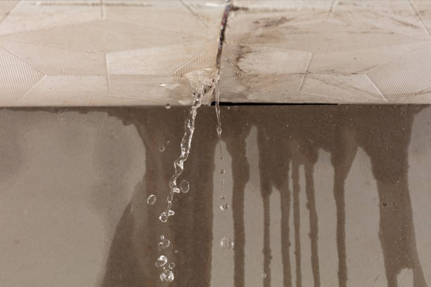 Professional Water Damage Repair technician working in Bon Secour, AL